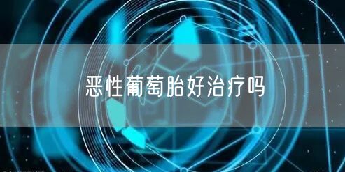 恶性葡萄胎好治疗吗