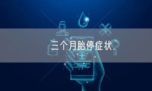 ​三个月胎停症状